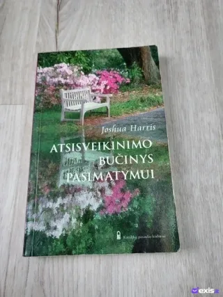 Joshua Harris - Atsisveikinimo bučinys pasimatymui knyga